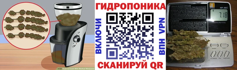 Cannafood конопля Весьегонск