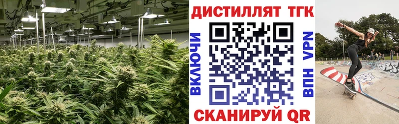 ТГК вейп с тгк где купить наркоту Весьегонск