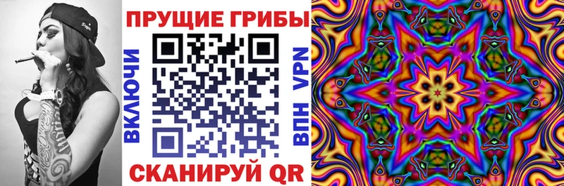 blacksprut ссылки  Весьегонск  Галлюциногенные грибы ЛСД 